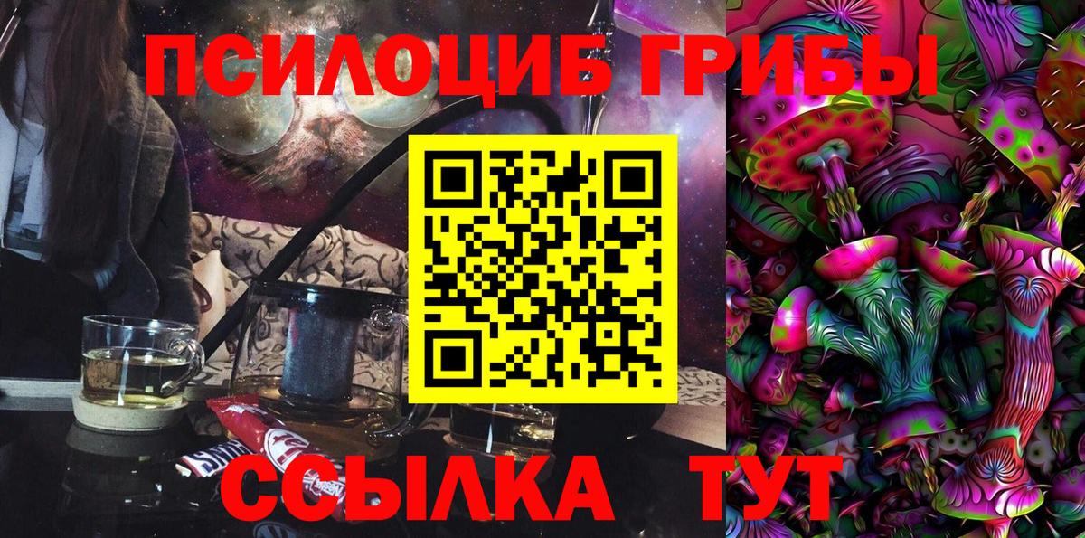 Москва  Галлюциногенные грибы Psilocybine cubensis  Вход с VPN 